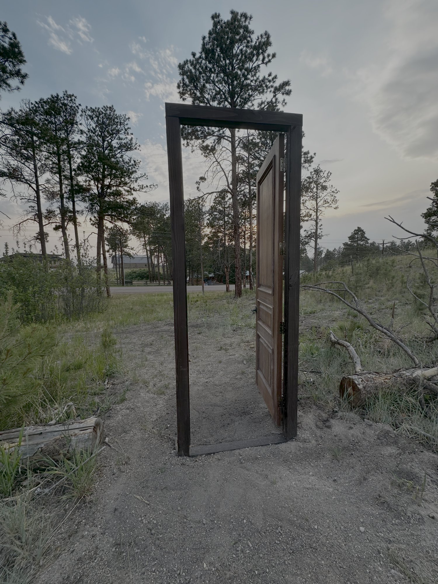An open door standing alone in a pine forest at dusk — a threshold waiting to be crossed